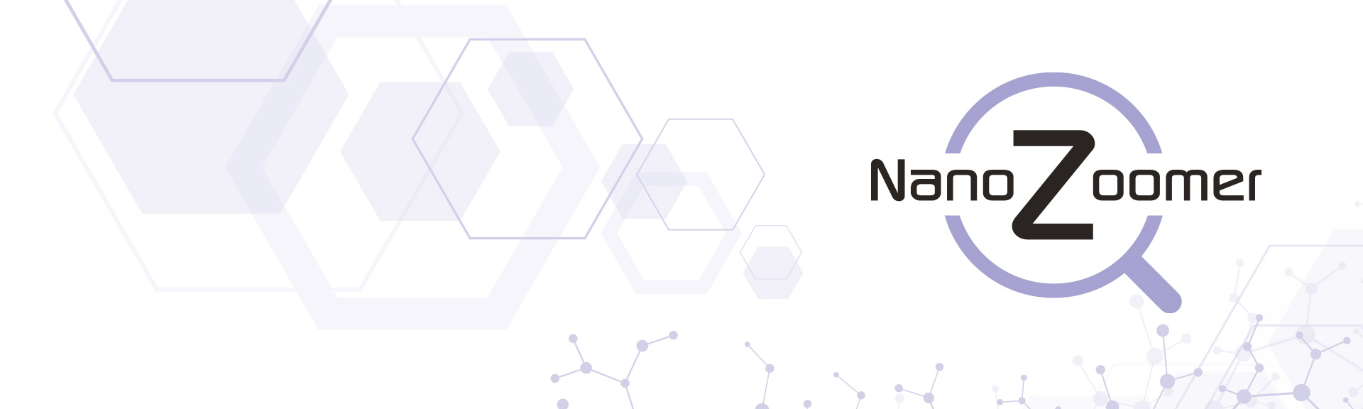 2nd International Partner Meeting for Digital Pathology 